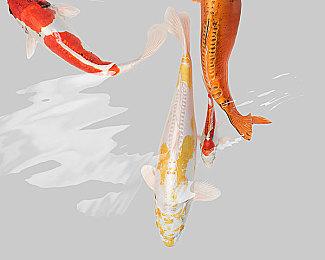 网易游戏5月20日举行新发布会 提供多款游戏最新消息